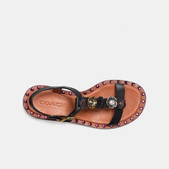 coach tea rose t strap sandal